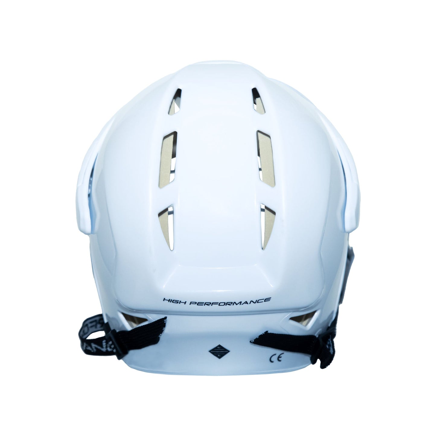 HELMET AND CAGE - HP1 COMBO